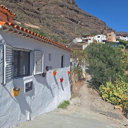 Casa Rural Los Pinares El Juncal De Tejeda Ngoại thất bức ảnh