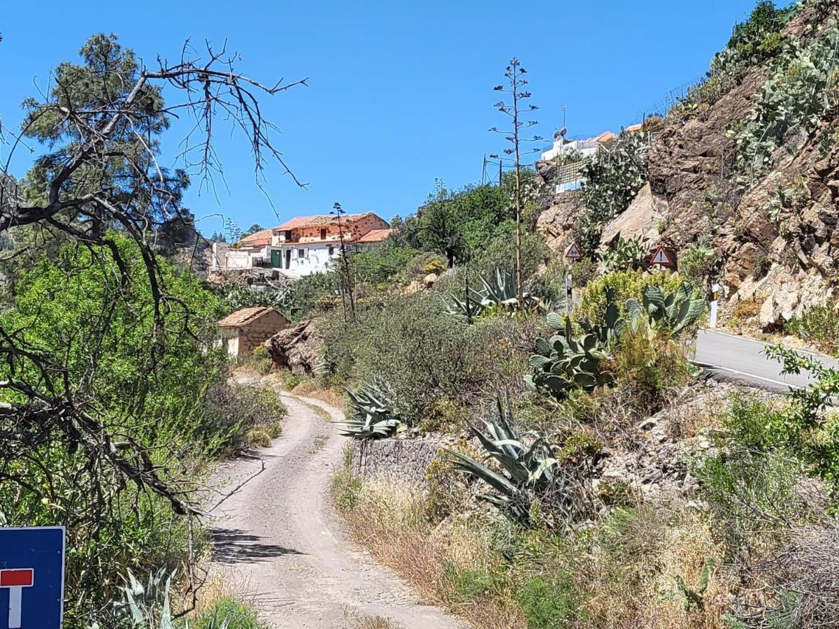 Casa Rural Los Pinares El Juncal De Tejeda Ngoại thất bức ảnh
