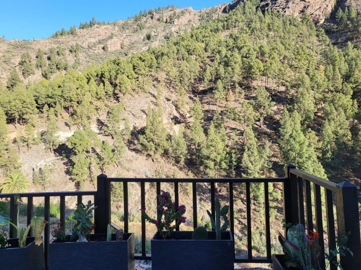 Casa Rural Los Pinares El Juncal De Tejeda Ngoại thất bức ảnh