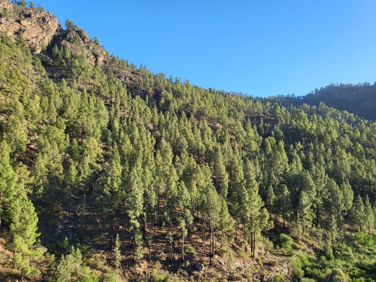 Casa Rural Los Pinares El Juncal De Tejeda Ngoại thất bức ảnh