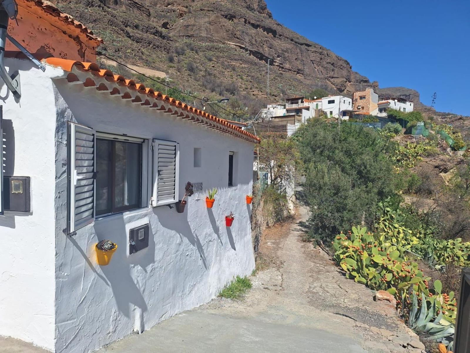 Casa Rural Los Pinares El Juncal De Tejeda Ngoại thất bức ảnh