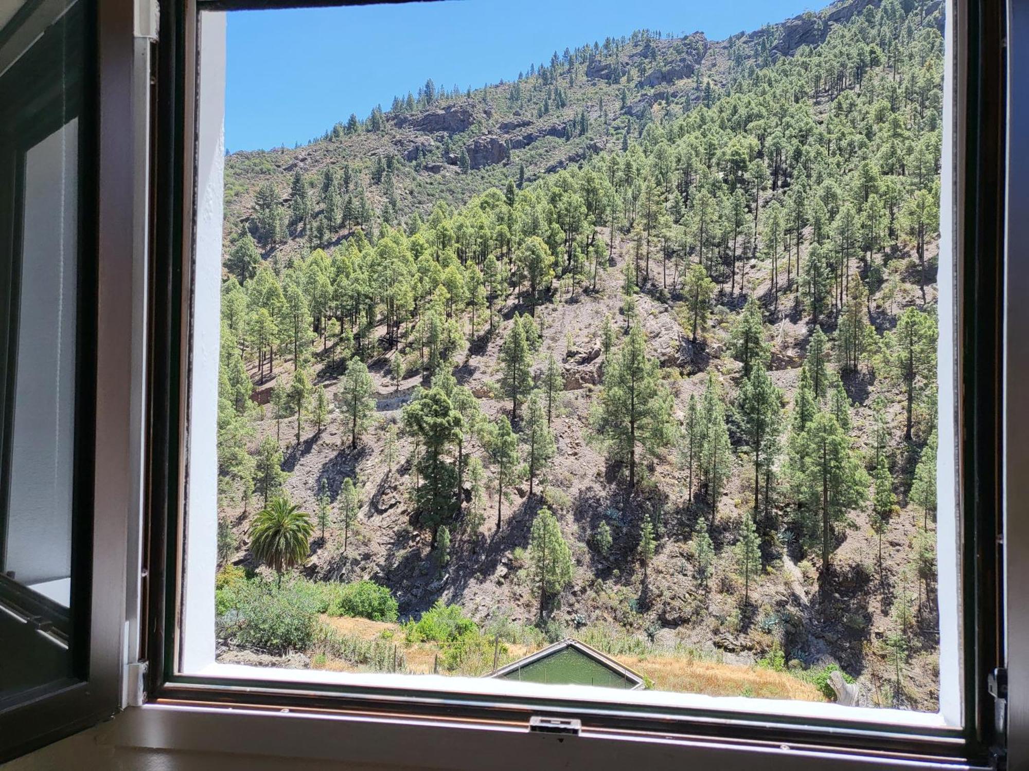 Casa Rural Los Pinares El Juncal De Tejeda Ngoại thất bức ảnh